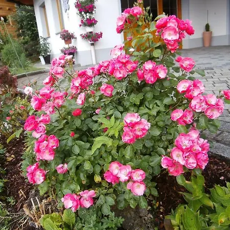 Guest house Haus Kristall Alpbach