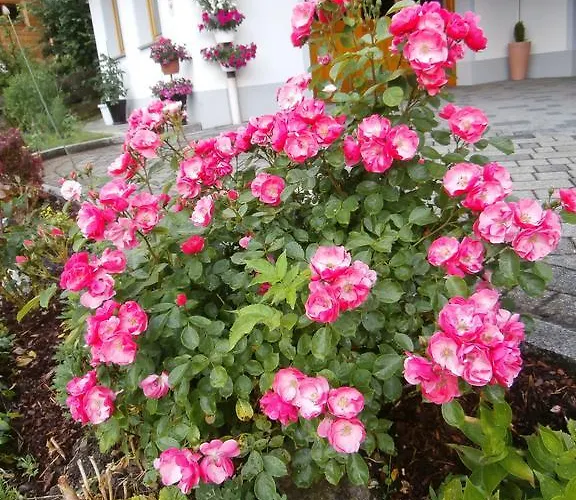 Affittacamere Haus Kristall Alpbach